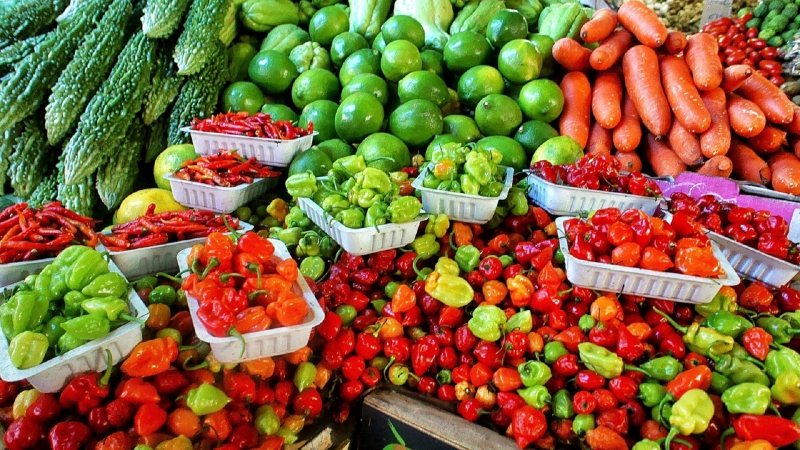 primeur-LA BASTIDE-min_farmers-market-1329008